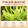 南同四海南京同仁堂金银花茶40g 精选中药材金银花泡养生茶水喝凉茶 实拍图