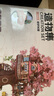 若来（Rolife）樱花树屋diy手工模型拼装积木玩具儿童生日礼物女孩 实拍图
