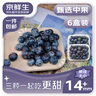 京鲜生 国产蓝莓 6盒14mm+装 125g/盒 生鲜水果 源头直发 包邮 实拍图