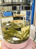 同仁堂苦丁茶新茶精选苦丁绿水嫩叶茶养生茶60g 实拍图