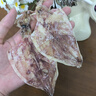 北海印象烧烤鱿鱼干淡干不咸KTV酒吧专用手撕干鱿鱼家用芥末尤鱼干货250g A5鱿鱼干 250g*1袋 约30条 实拍图