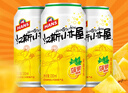 青岛啤酒（TsingTao）汉斯小木屋菠萝啤果啤整箱听装 330mL 12罐 实拍图