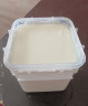 天润（TERUN） 新疆0添加糖0代糖无糖风味发酵乳低温酸奶 家庭装桶酸 1kg*1桶 实拍图