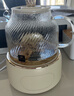 World Kitchen康宁全玻璃养生壶恒温壶煮茶壶煮茶器1L办公室家用花茶壶烧水壶电热水壶茶壶煮水壶（茶漏升级款） 实拍图