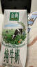 伊利金典纯牛奶整箱 200ml*24盒 3.6g乳蛋白 原生高钙 礼盒装 实拍图