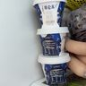 蒙牛（MENGNIU）特仑苏风味酸奶特限定专属牧场奶源125g*3杯*3组 实拍图