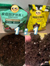 美乐棵 天南星科营养土养花花肥园艺种植土花土肥料盆栽绿植专用土壤8L 实拍图
