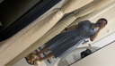 森马（Semir）牛仔连衣裙女收腰翻领裙子2025夏凉感通勤休闲中长裙109325114021 实拍图