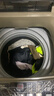 志高（CHIGO）全自动洗衣机 家用小型波轮 洗脱一体机大容量 公寓宿舍出租房 12KG咖啡金【蓝光洗护+风干洁桶+强电机】 实拍图