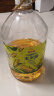 金龙鱼 食用油 非转基因 物理压榨玉米油6.18L（富含植物甾醇） 实拍图