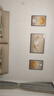 Sixpoetry 客厅装饰画现代简约沙发背景墙壁画轻奢三联晶瓷画大气高档挂画 福禄生花（铝合金外框） 晶瓷画左右35*50+中间70*50亮面 实拍图