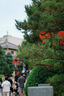 MEKE美科【旗舰款】85mmf1.8PRO全画幅自动对焦镜头静音马达定焦镜头适用微单L卡口 L卡口【官方物流】 实拍图