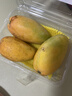 海南大台农芒果550g 单果120g+ 实拍图