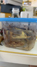 特百惠（Tupperware）冷冻700ml*1保鲜盒食品级冰箱储物收纳盒肉类速冻速解密封不串味 实拍图