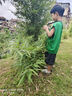 LOPOM 儿童相机玩具数码拍照录像彩色拍立得相机ccd男女孩玩具生日礼物 实拍图