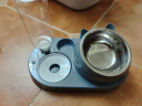 憨憨乐园 猫碗狗碗宠物食盆猫咪双碗粮盆自动饮水机喝水器喂食用品 蓝 实拍图
