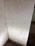 金戈长杆墙面打磨机墙面自吸式无尘墙壁砂纸机腻子磨墙机砂皮机双灯带 超轻无刷+50砂纸【配8L吸尘器】 实拍图