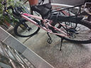 凤凰山地自行车内走线品牌变速青少年男女竞赛车自行车成人 坦途510 铝架辐条轮-彩云粉 26寸【适合155-185cm】 24速 实拍图