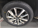 利奥玲珑汽车轮胎205/55R16 94W P88 适配比亚迪G5/奥迪A6 实拍图