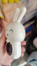 德力西（DELIXI）水温计婴儿宝宝洗澡温度计浴室室内外家用洗脚泡脚测水温新生儿 实拍图