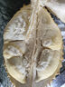 贝亲（Pigeon）自然离乳吸嘴组 含重力球吸管 原装配件12月+ BA155 实拍图