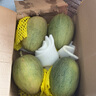京鲜生 新疆哈密瓜/西州蜜 4粒 净重10斤起 单果2.5斤起 生鲜水果礼盒 实拍图