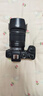 佳能（Canon）RF全画幅微单镜头 专业变焦镜头打鸟 适合R7 RP R10 R5 R6二代 R8 R50 R100微单相机 RF 24-105mm IS STM标准变焦 官方标配【不含多种滤镜 建 实拍图