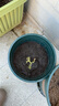 墨斗鱼花盆加仑盆加厚高款5加仑*2种菜盆大号盆栽树脂塑料简约带托盘 实拍图