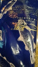 初鲜鲜冻整条大鱿鱼2-3条净重2斤 铁板鱿鱼火锅烧烤食材海鲜软足类 实拍图