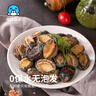 海鲜世家去冰净重鲍鱼仔1斤 60-72粒 家庭聚餐小海鲜煲粥火锅食材 实拍图