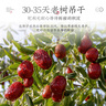 杞利元若羌红枣200g袋装 新疆特产大枣 泡茶煲汤原料 实拍图