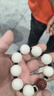 妍韵珠宝精品18mm缅料白玉菩提根手串红玛瑙文玩把件男女士款菩提佛珠手链 实拍图