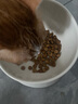 皇家绝育成猫粮 SA37通用粮1-7岁4.5KG 实拍图
