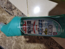花王（KAO）洁厕灵500ml 免刷洁厕液除菌马桶清洁剂清洗剂厕所宝去尿渍异味 实拍图