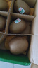 佳沛（zespri）绿奇异果 优选大果12粒单果约113-135g  水果礼盒 猕猴桃 实拍图
