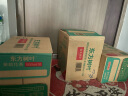 农夫山泉 东方树叶茉莉花茶500ml*15瓶 0糖0脂0卡无糖茶饮料 礼盒 实拍图