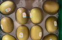 佳沛（zespri）新西兰 金果12粒猕猴桃礼盒特大果单果约122-146g 端午节水果礼盒 实拍图