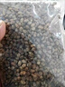鲜窝窝 香辣干豆豉500g贵州特产臭豆豉黄豆豉蒸鱼豆鼓火锅豆瓣酱调料 实拍图