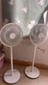 美的（Midea）【品质推荐】七叶轻音柔风电风扇/家用省电落地扇/台式电扇/广角摇头节能宿舍小型风扇 SAE35CA 实拍图