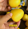 西贝莜面村 红豆玉米窝窝头260g 8个 粗粮杂粮主食 早餐面点 儿童豆沙包包子 实拍图