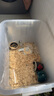 carno仓鼠水樽款饮水壶金丝熊喝水防漏支架滚珠喂水器 淡樱粉80ml 实拍图