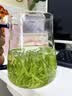 叶龙井茶叶2025新货雨前绿茶浓香型口粮春茶自己喝正品 明前龙井250g[A级高端礼盒+陶瓷盆*2】 茶叶胖东来超市茶叶店官方店旗舰京自药房東營 实拍图