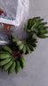 曜果广西香蕉 小米蕉   新鲜水果 生鲜 生果 小米蕉是小的 小米蕉 5斤 （青蕉需催熟后食用） 实拍图