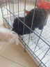 腆宠狗笼猫笼 狗笼子中小型犬带厕所幼犬狗窝猫笼子大号家用围栏兔笼 实拍图