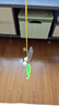 加仕高猫玩具自嗨逗猫棒荡秋千蝴蝶幼猫小猫咪羽毛 3件套 实拍图