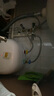 美的（Midea）【8年质保】11升小厨宝家用大水量一级能效安全洗碗菜电热水器厨房热水宝国家补贴F11-20CB6(HE) 实拍图