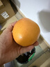 京鲜生 南非进口红心西柚/葡萄柚6粒装超大果 单果300g起 新鲜水果  实拍图