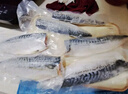 探海日志冷冻挪威青花鱼片净重2斤小袋包装进口冷冻鲭鱼日料烤鱼海鲜生鲜 实拍图