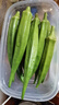 新鲜水果秋葵蔬菜新鲜现摘现发当季蔬菜生鲜凉拌好物减肥瘦身 现摘水果秋葵 500g 实拍图