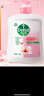 滴露（Dettol）健康抑菌洗手液滋润倍护500g 消毒抑菌99.99% 儿童适用不含酒精 实拍图